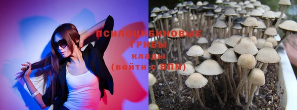 твердый Нягань