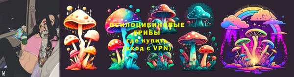 ПСИЛОЦИБИНОВЫЕ ГРИБЫ Осинники