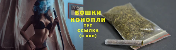 твердый Нягань