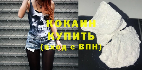 ПСИЛОЦИБИНОВЫЕ ГРИБЫ Осинники