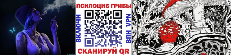 Псилоцибиновые грибы MAGIC MUSHROOMS  наркота  Калач-на-Дону 