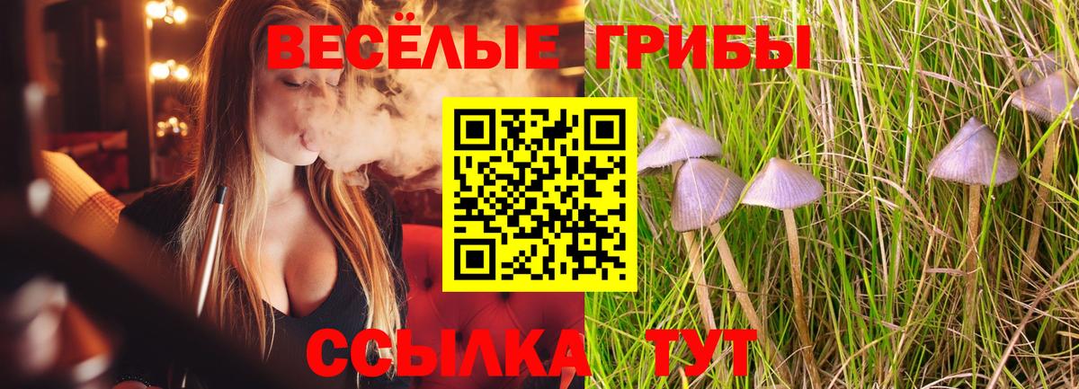 Галлюциногенные грибы ЛСД  Вход с VPN  Калач-на-Дону 
